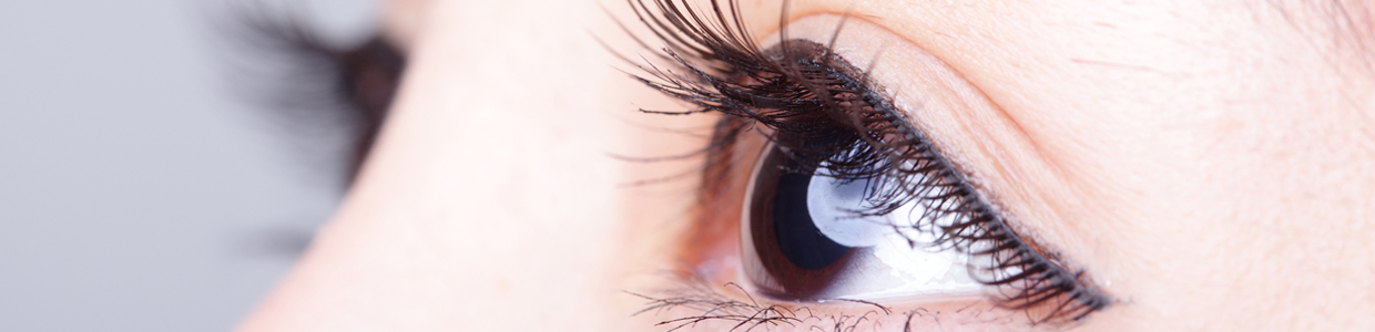 まつ毛イメージ